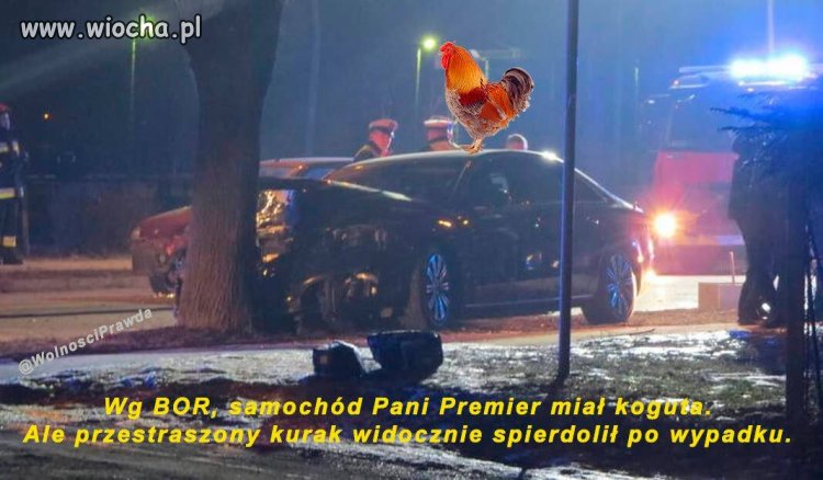 Prawda dla BORu jest bezlitosna. 