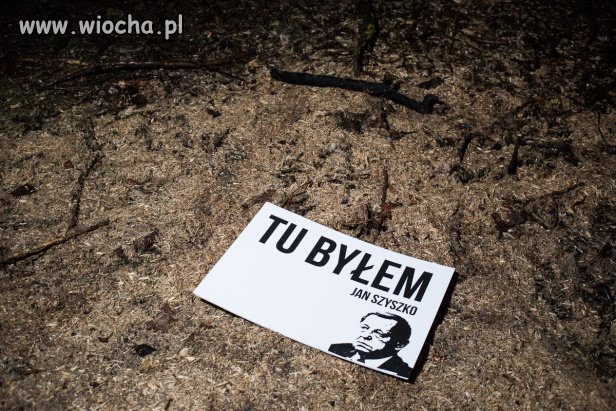 Jak na zdjęciu