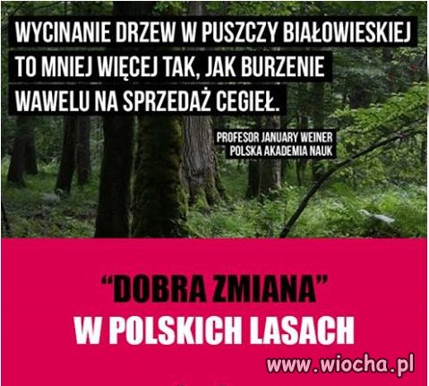 W przypadku Wawelu to nie długo