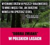 W przypadku Wawelu to nie długo