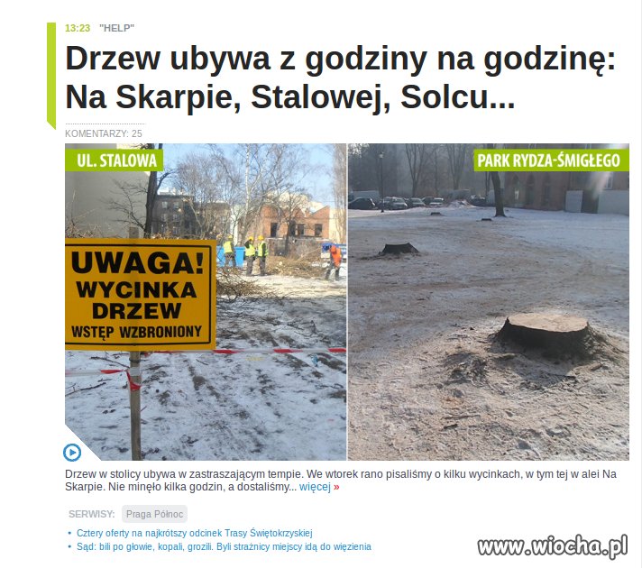 W Wawie już rozpoczęli wycinkę
