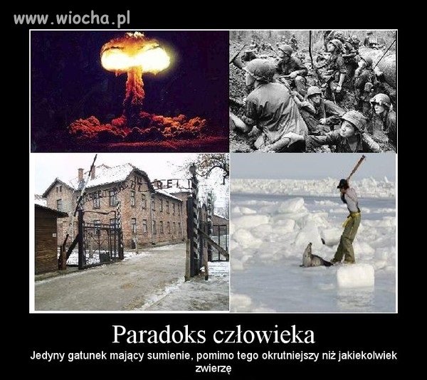 To ludzie niszczą ten świat.