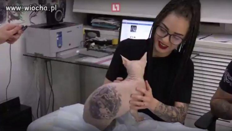 Dzień dobry. Chciałabym sobie wytatuować kotka