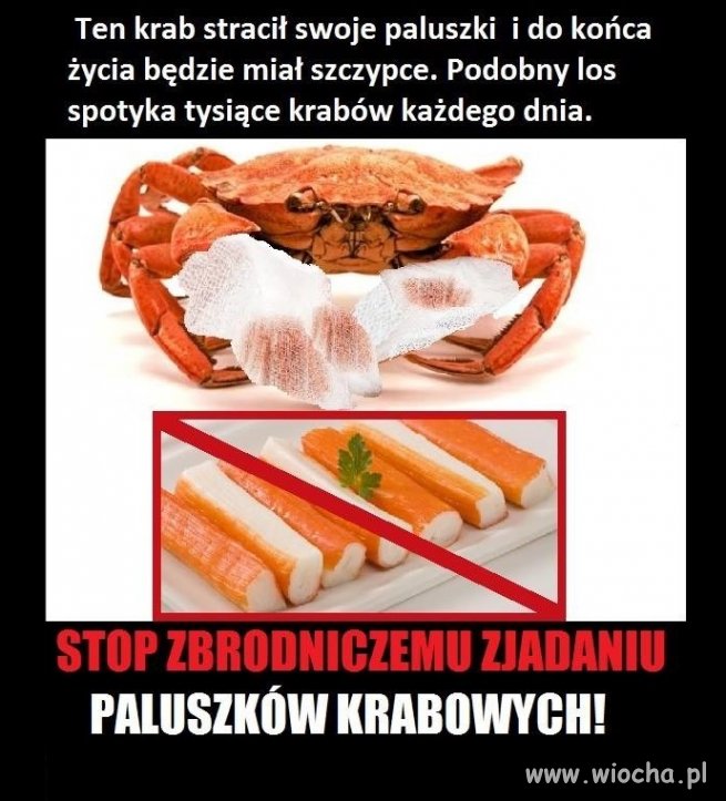 STOP paluszkom krabowym 