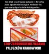 STOP paluszkom krabowym 