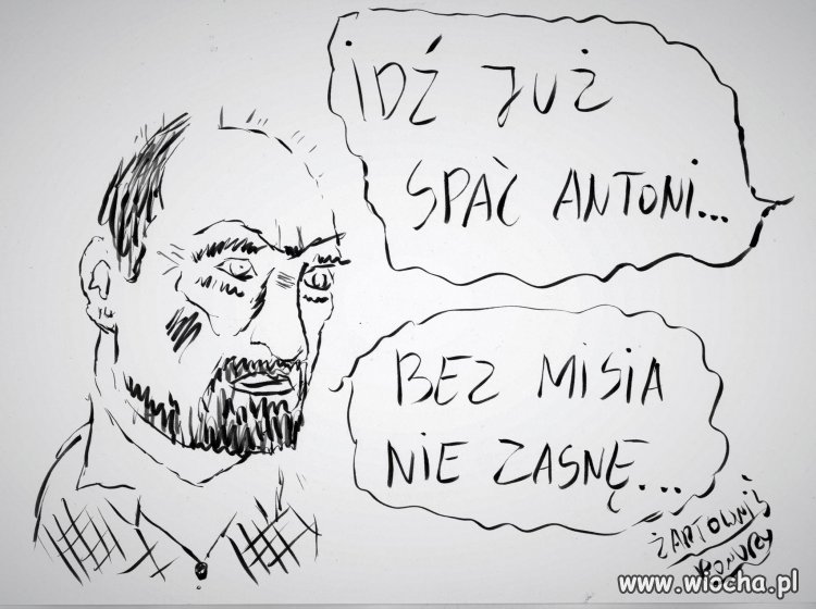 Prawda polityczna