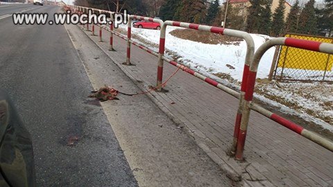Zwykły sku...l to zrobił nie człowiek