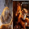 W chińskim zoo przetuczyli tygrysy
