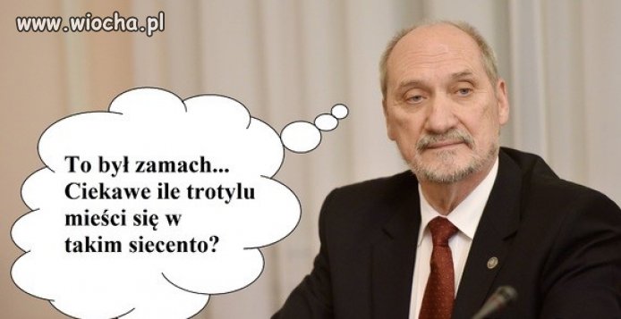 Trotyl zamiast mózgu.