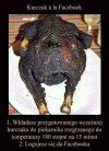 Przepis
