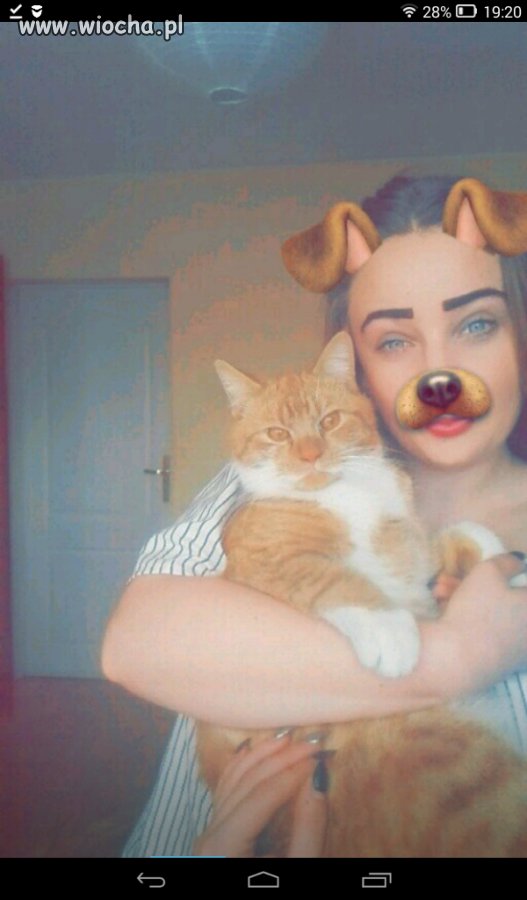 Miau , Hau !