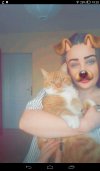 Miau , Hau !
