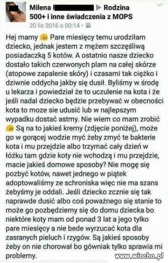 Dodałem się do grupy