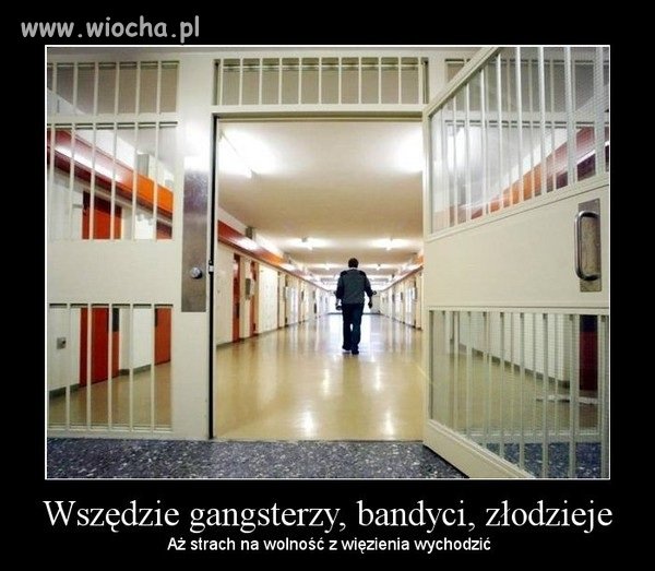 Wszędzie... 