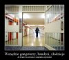 Wszędzie... 