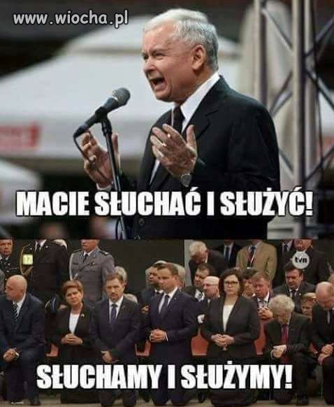 Pan i władca baranów 