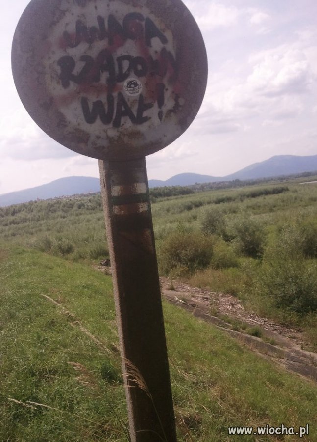 Ostrzegawczy czy informacyjny?