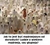 Wiek wyznacznikiem mądrości?