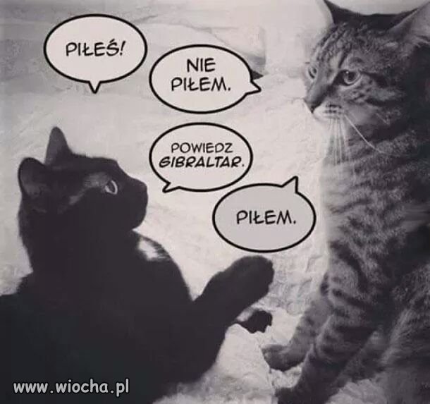 Piłeś? 