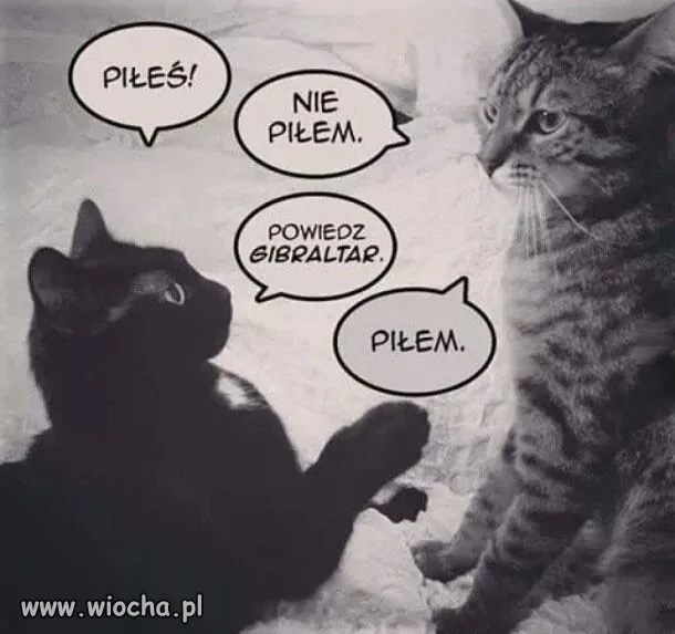 Piłeś? 