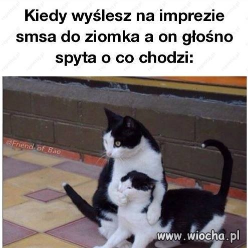 Kiedy wyslesz