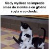 Kiedy wyslesz