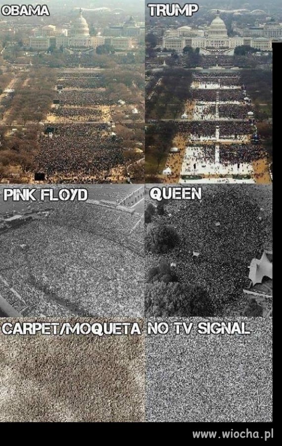 I tak wygrywa telewizja