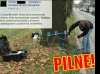 Prokuratura przesłuchuje drzewo, 