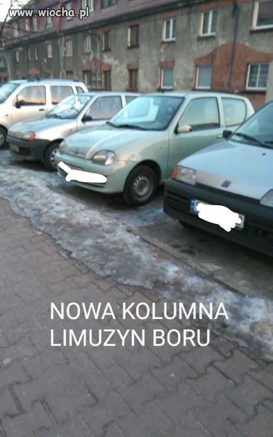 Zgroza