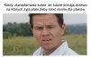 Domki dla ptaków.