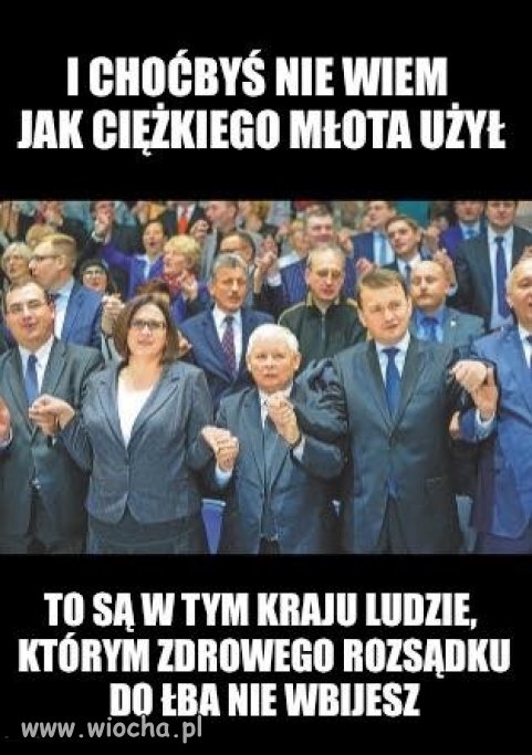 Rządzą tak jak