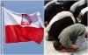 Badania dotyczące muzułmańskich imigrantów w Europie.