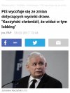 Spadają Szyszki z drzew