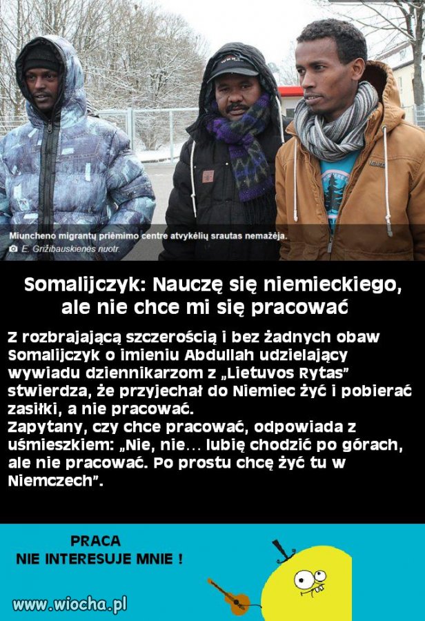Praca? Nie dziękuję. Wole pieniądze bez niej...