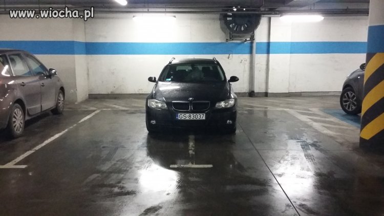 "Miszcz" parkowania