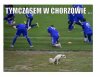 Rozgrzewka