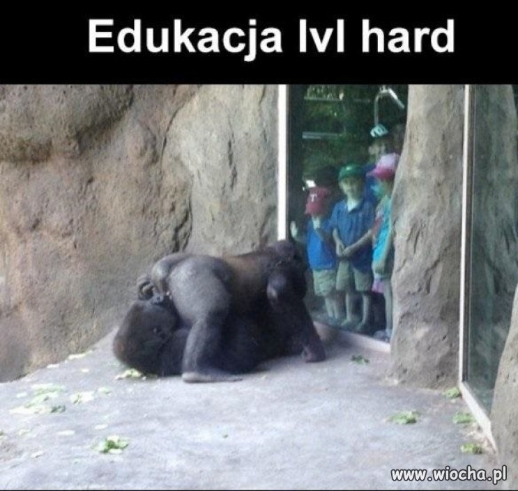 Przedszkolna wycieczka 