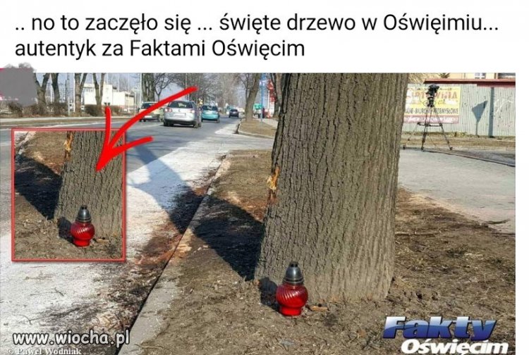 Dziwne poczucie humoru