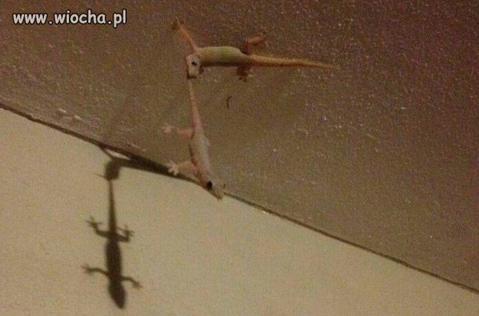 Mission impossible