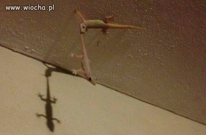 Mission impossible