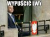 Wypuścić lwy