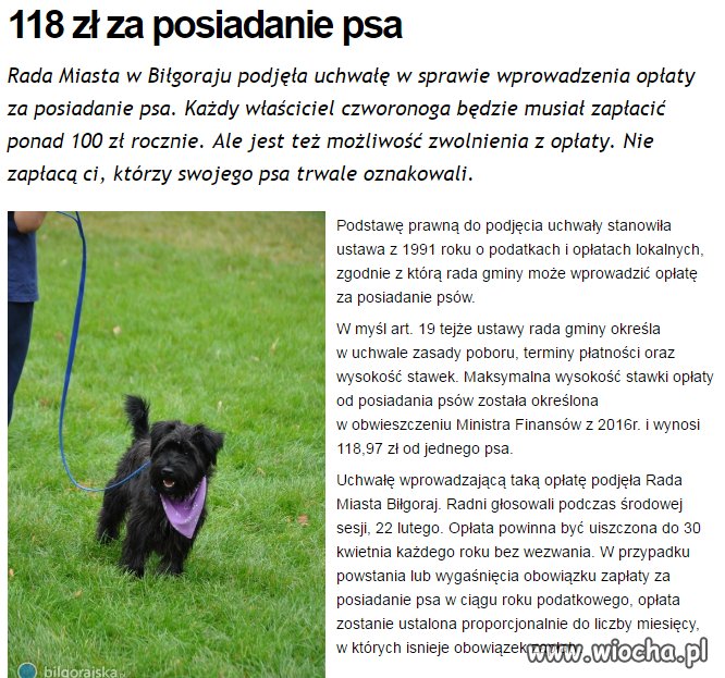 Biłgoraj 118zł za psa