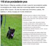 Biłgoraj 118zł za psa