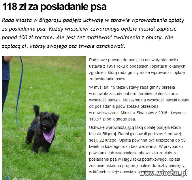 Biłgoraj 118zł za psa