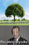 Drzewo