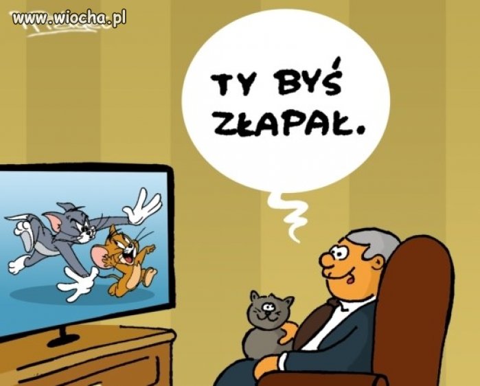 Prezes