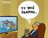Prezes