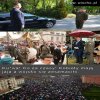 Dobra zmiana