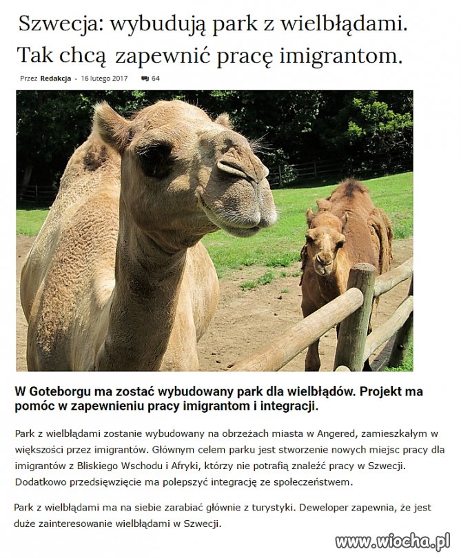 Szwedzka integracja ze zwierzętami