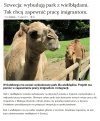 Szwedzka integracja ze zwierzętami